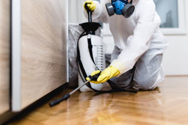 Best Exterminator Services  in Santa Clara, OR