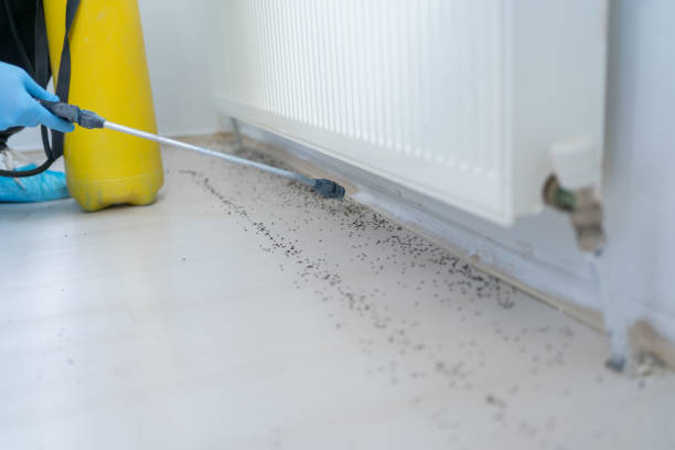 Best Spider Control Near Me  in Santa Clara, OR