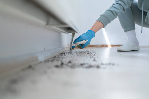 Best Local Pest Control Services  in Santa Clara, OR